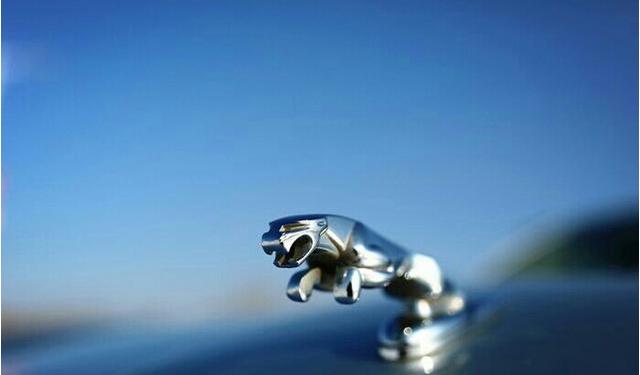 aadd丶team同人动漫 人动人动人动对不起