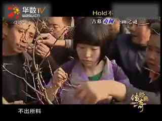 青草娱乐亚洲领先91精品 