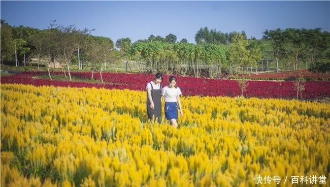 动漫3d哥布林 布林动态光影和物理碰撞