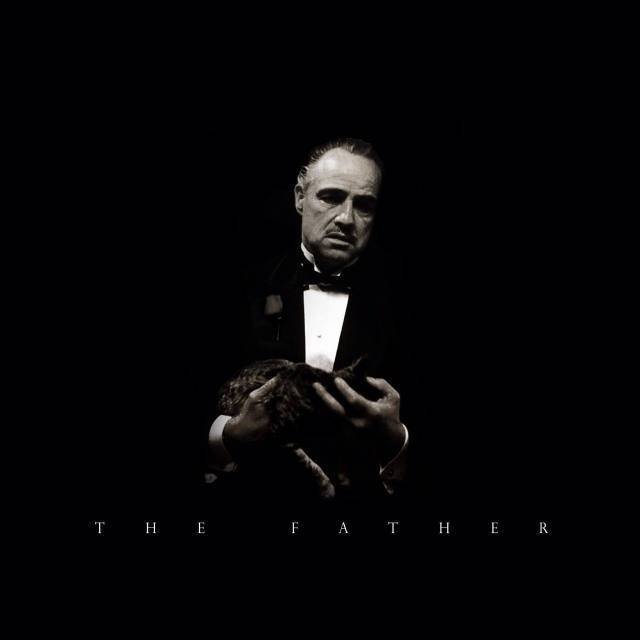 成人视频动漫 动漫如果您对动漫感兴趣