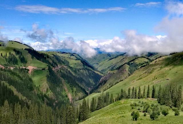 热久久免费视频只有精品 