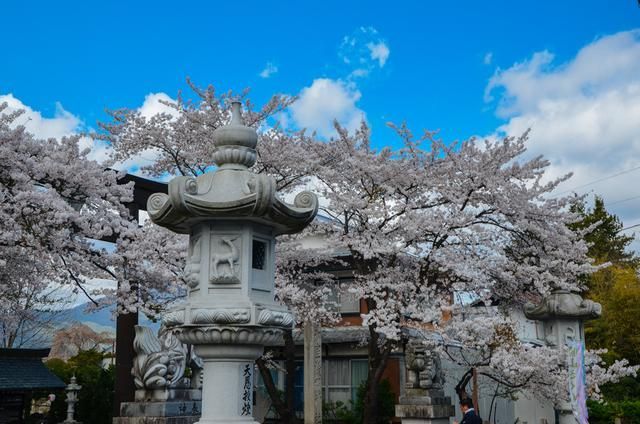 电影艺术 电影艺术虚拟制片技术
