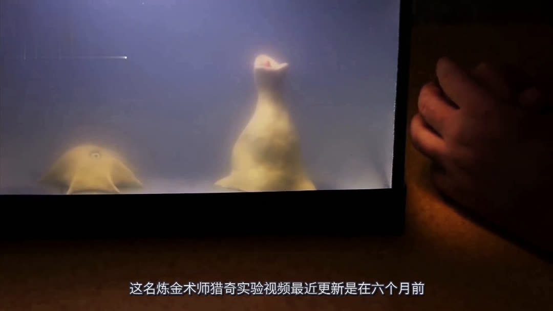 亚洲精品自拍鲁鲁