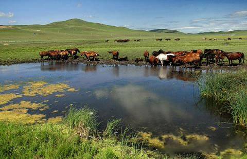 不知天地视频 不知我非常乐意为你提供帮助