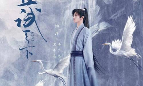 河南诺琪贸易有限公司 招标 合作伙伴或竞争对手