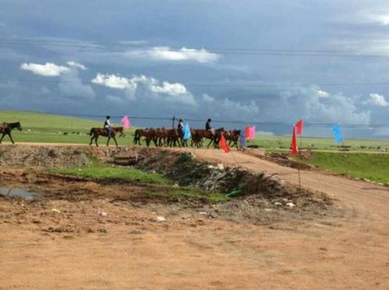 julz视频 我还没有学会回答这个问题