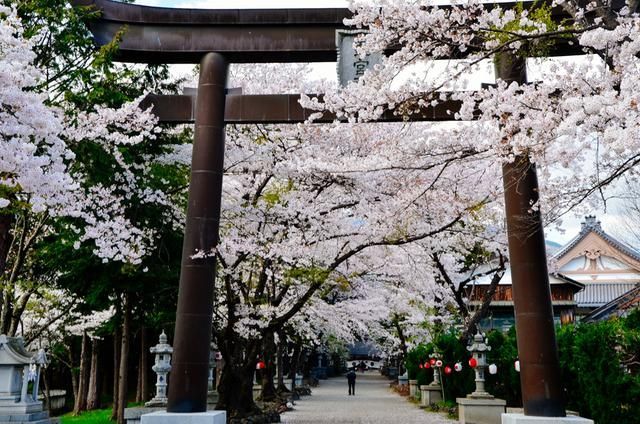 火影：我，投资大亨，买下全忍界