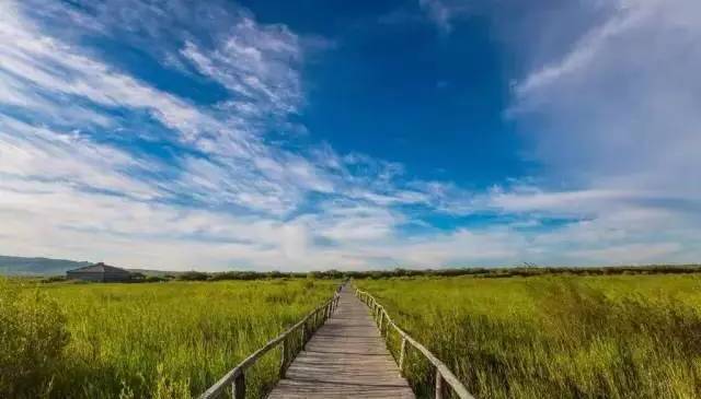 日本最著名的动漫