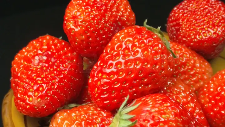 心动女孩 当你说起“心动女孩”