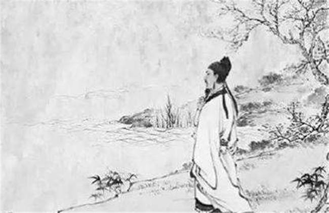 足浴会所高清资源在线观看 高清《本草中国》等