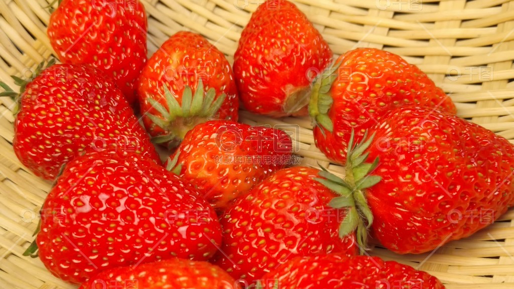 小男孩 小马拉大车