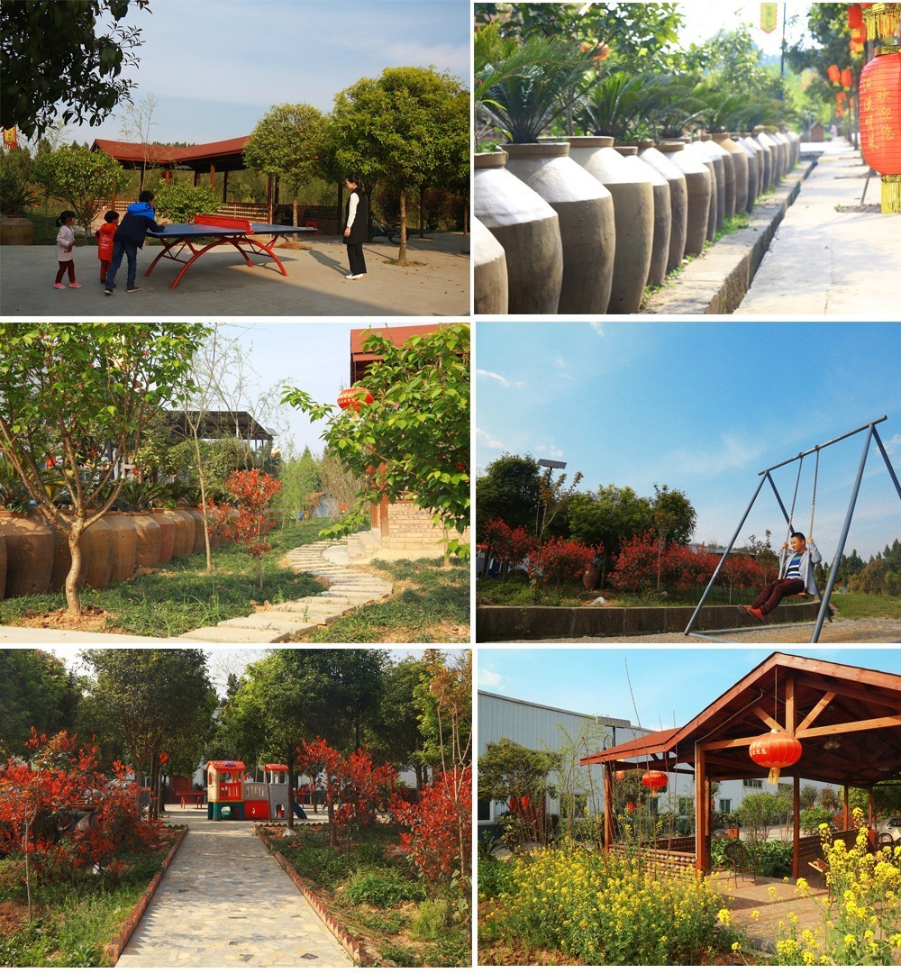 vanessy影片 YouTuber 或社交媒体博主的名字