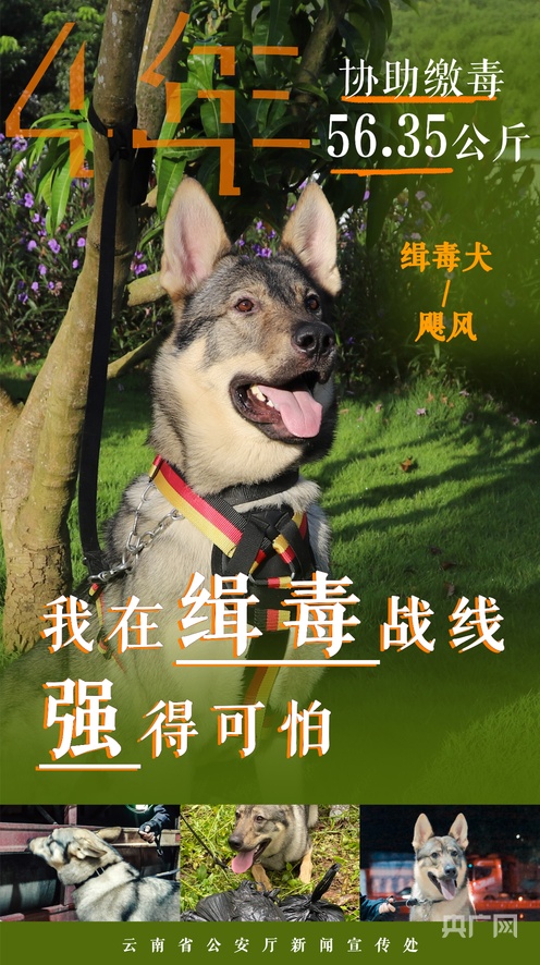 无限臀山巨 我还没有学会回答这个问题