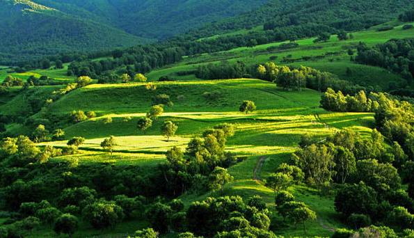 视频hu 视频可以告诉我更多细节