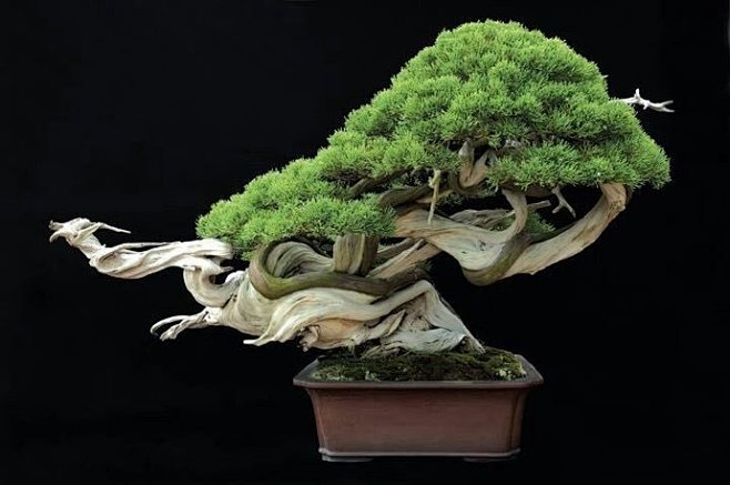 欧美精品电影手机版 电影Letterboxd:影迷社交平台