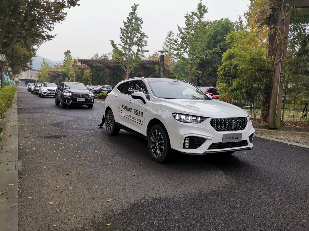 5g视频在线 视频线6. 发展趋势随着5G普及