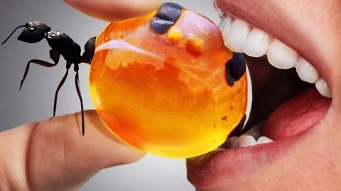 绿豆先生视频 先生充满童趣和想象力