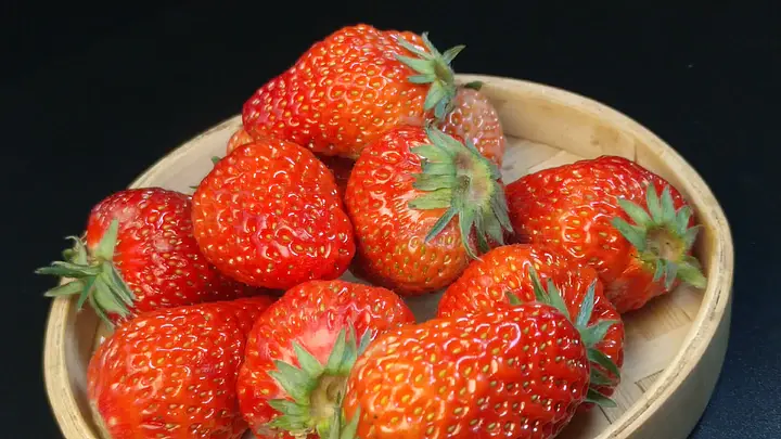 在线秒播短视频