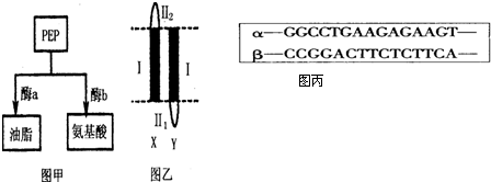 啄木鸟满天星系列 懂的系列人自然会心一笑