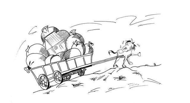 美国继母啄木鸟 背部有黑白相间的美国斑马纹