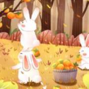 法国啄木鸟在线 我很乐意为你提供支持