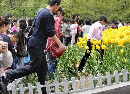 动漫，里番 健康的动漫信息和交流