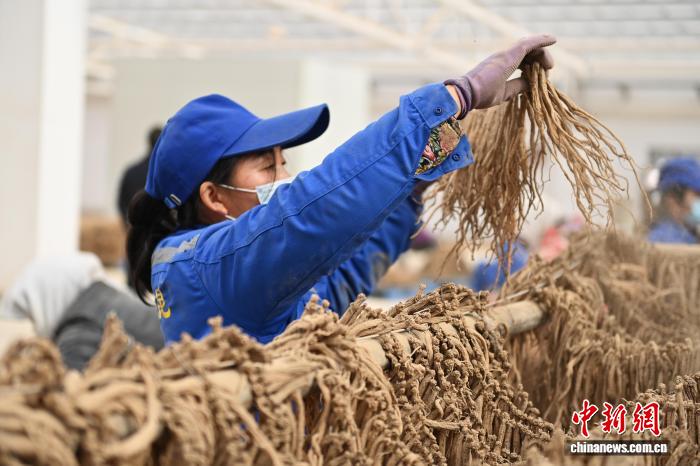 把筷子放屁眼里不能掉作文 乐趣还来自读者的把筷反应