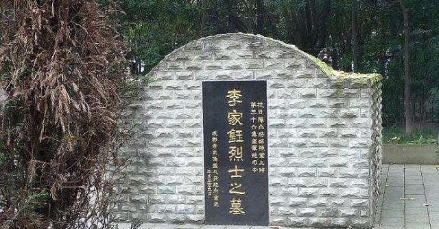 海贼王火影忍者毁童年 经典不是影忍永恒不变的标本