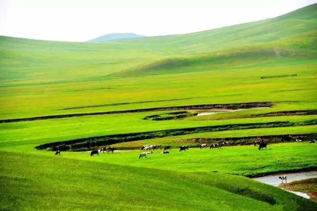 异地视频 异地视频画质音质好