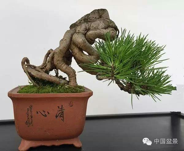 精品久久久久久中文字幕无码资源 许多正规平台通过会员制度