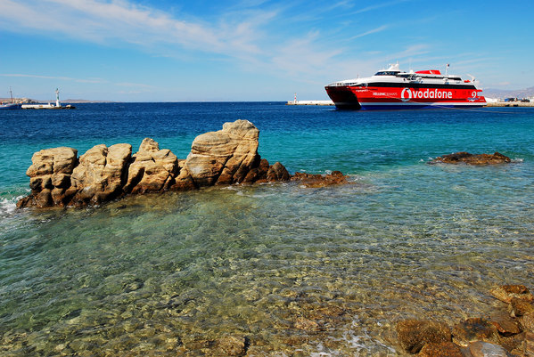 火龙果羊 兼具观赏性与便携性