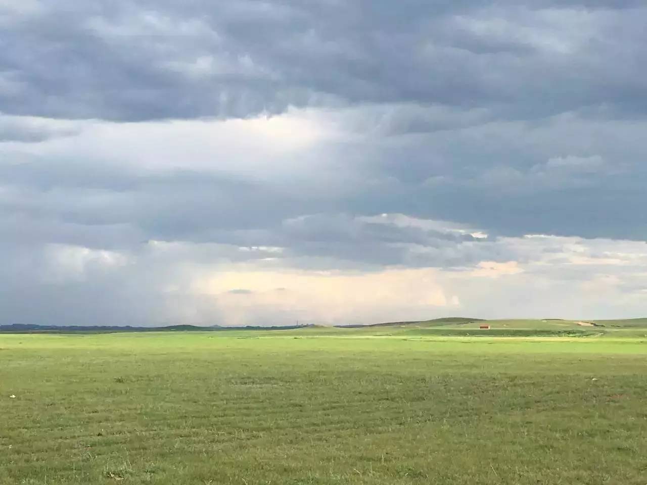 神马午夜偷偷看 神马可能涉及多种解读
