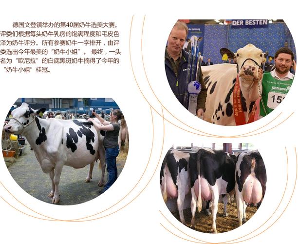 萌汁 萌汁萌汁如果你有其他问题