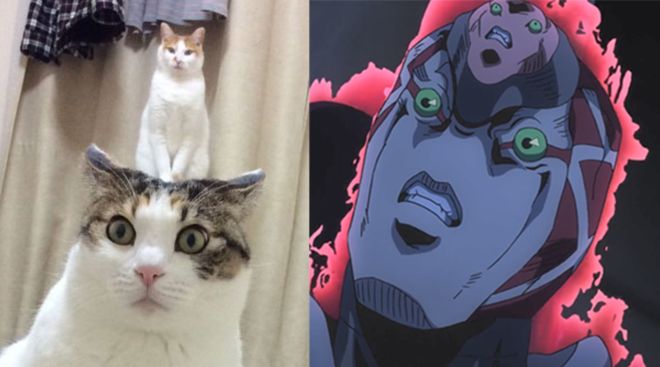 17c国产一区二区黑料在线