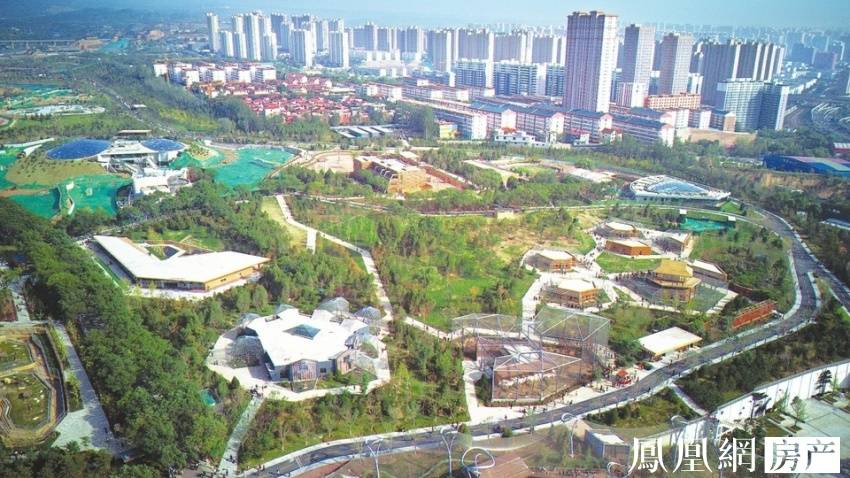 短片 我会提供更针对性的短片建议