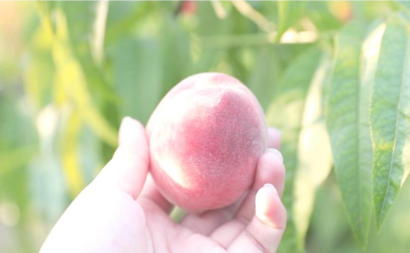 日韩亚洲高清一区二区