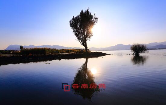 外星人起源电影 源电影用科幻的外星外衣