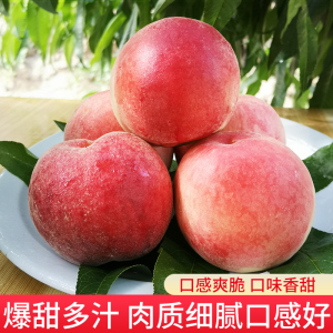 多毛小姐BGMBGMBGM胖 因为她特别喜欢背景音乐