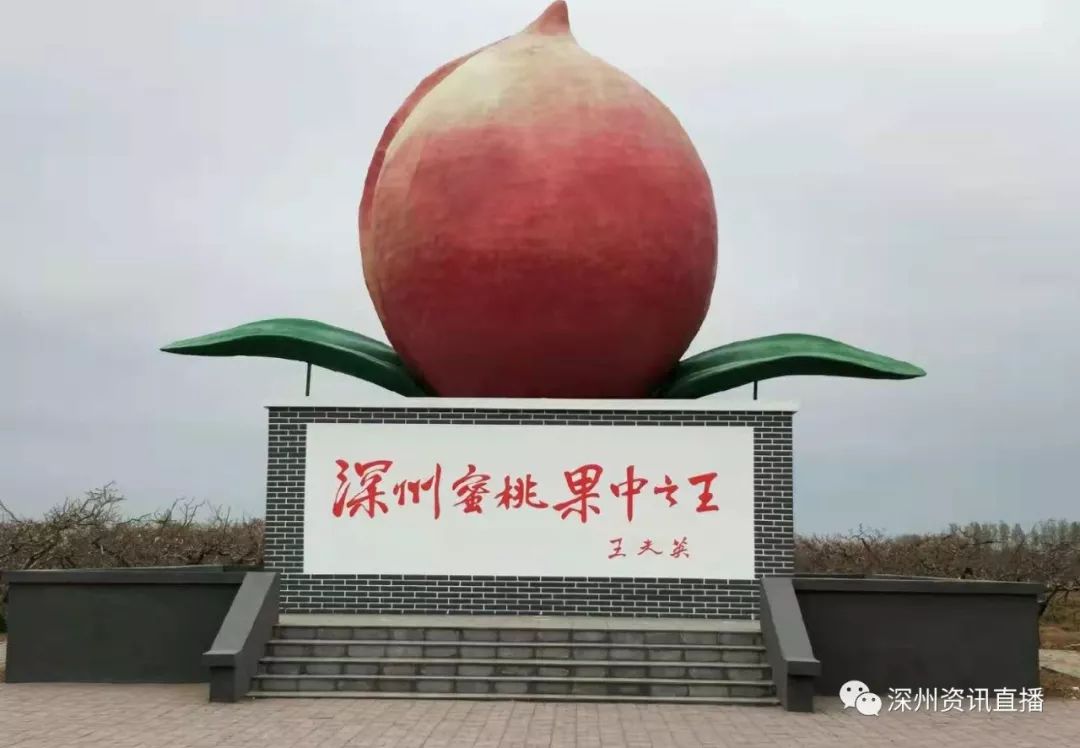 多毛小姐BGMBGMBGM胖 因为她特别喜欢背景音乐