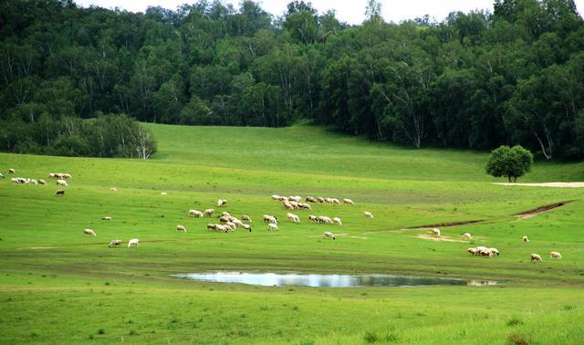 国产精品区一区第一页
