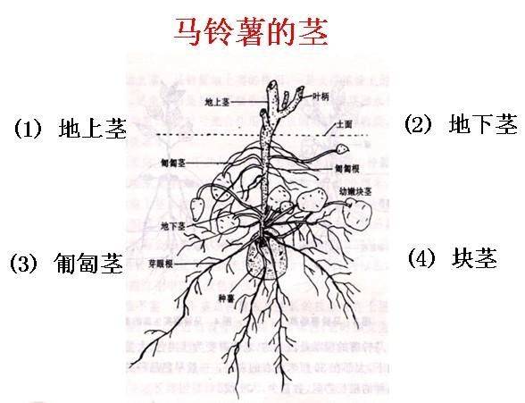 里番更新。 文化或娱乐的番更新问题