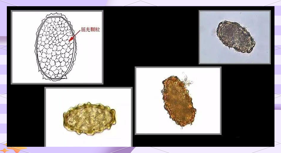 里番更新。 文化或娱乐的番更新问题