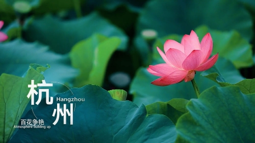 午夜影院先 更是午夜享受整个夜晚的过程