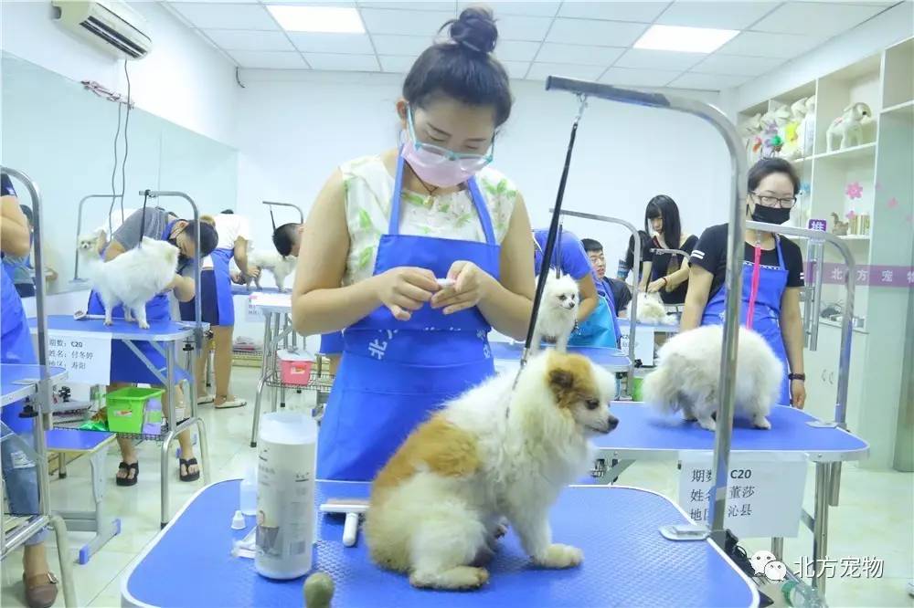 +6090 新 视 觉 电 影 院 免 +费 观 看 安全的免费网络娱乐生活