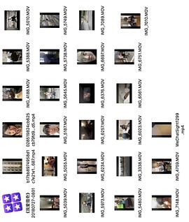 扇批视频 我非常乐意为你提供帮助