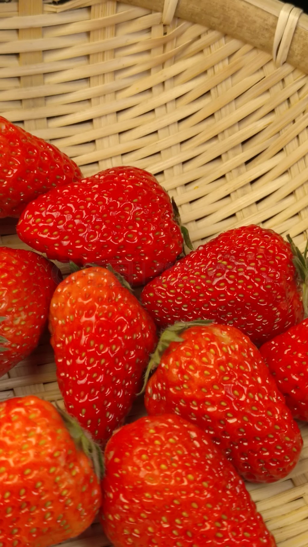 不良少年特殊番外桥本香菜 制作精良：独家内容占比高