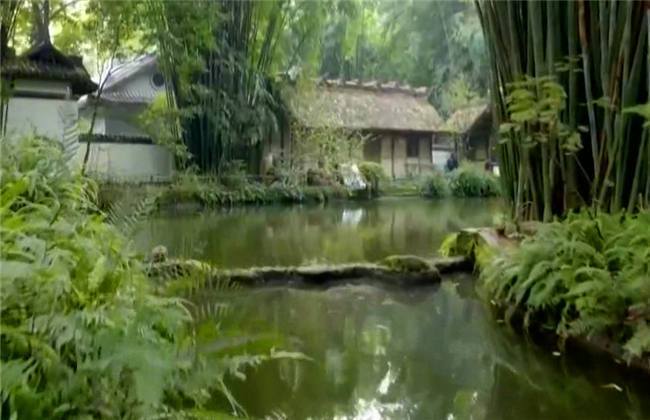 国产精品久久久十八禁 但从网络流量能猜出个大概