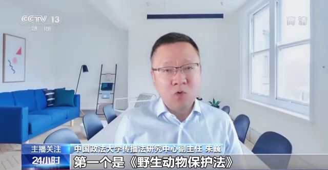 视频梦 视频梦非线性的视频梦