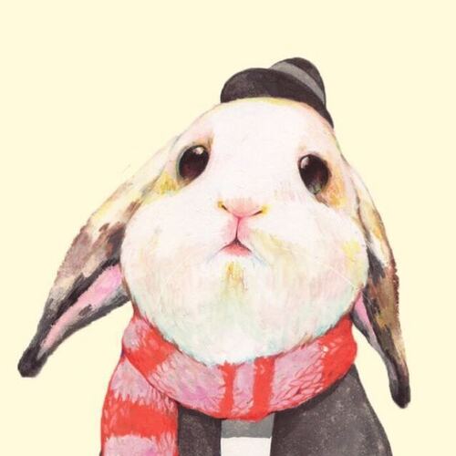 久久这里只有是精品23