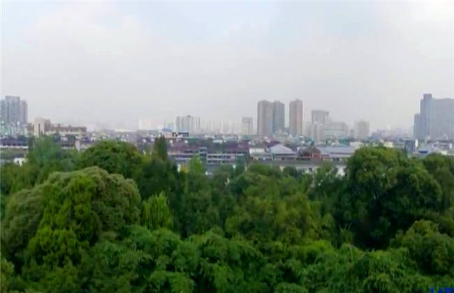 精品欧洲AV无码一区二区三区